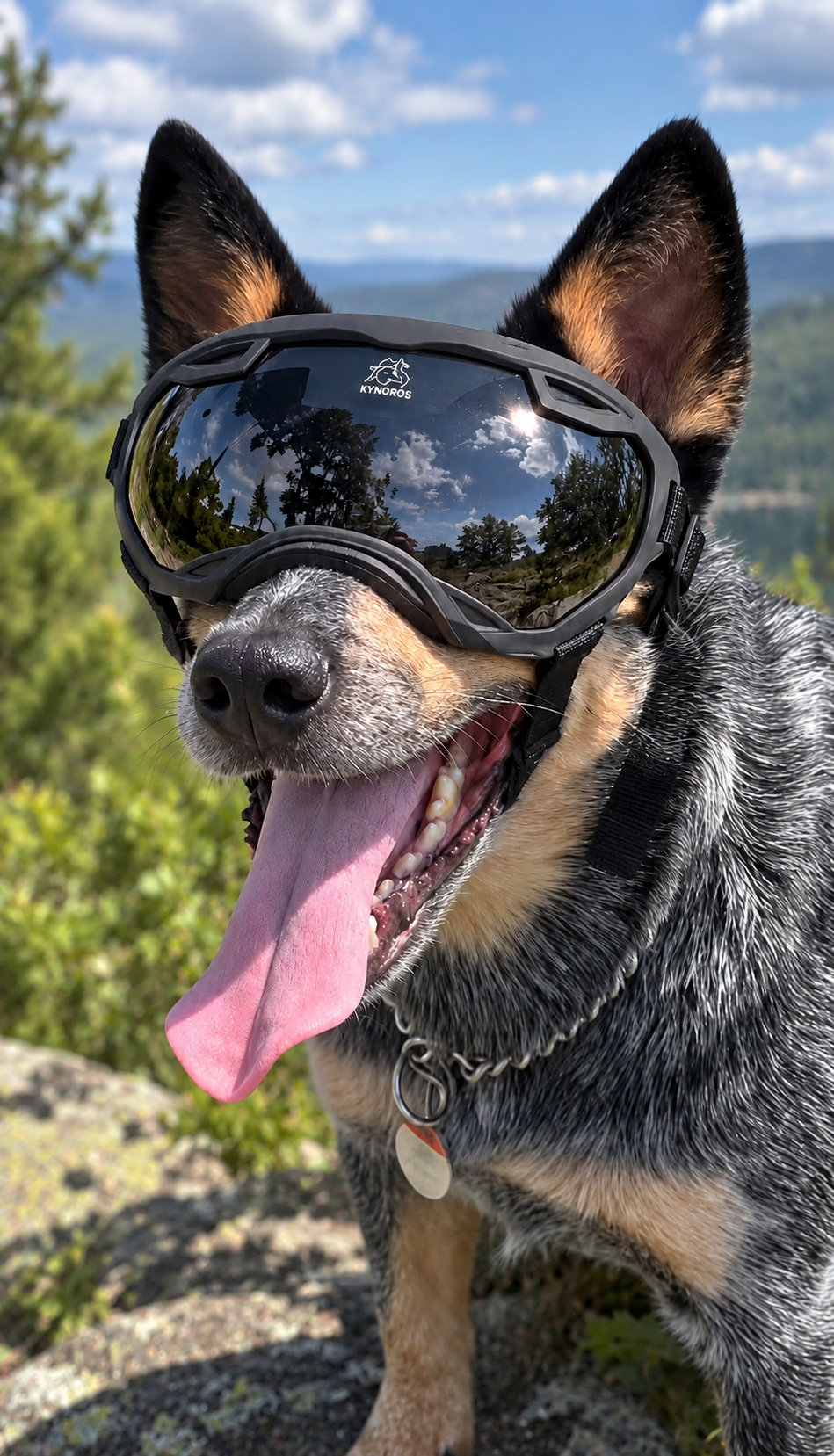 KYNOROS Sentinel Goggles