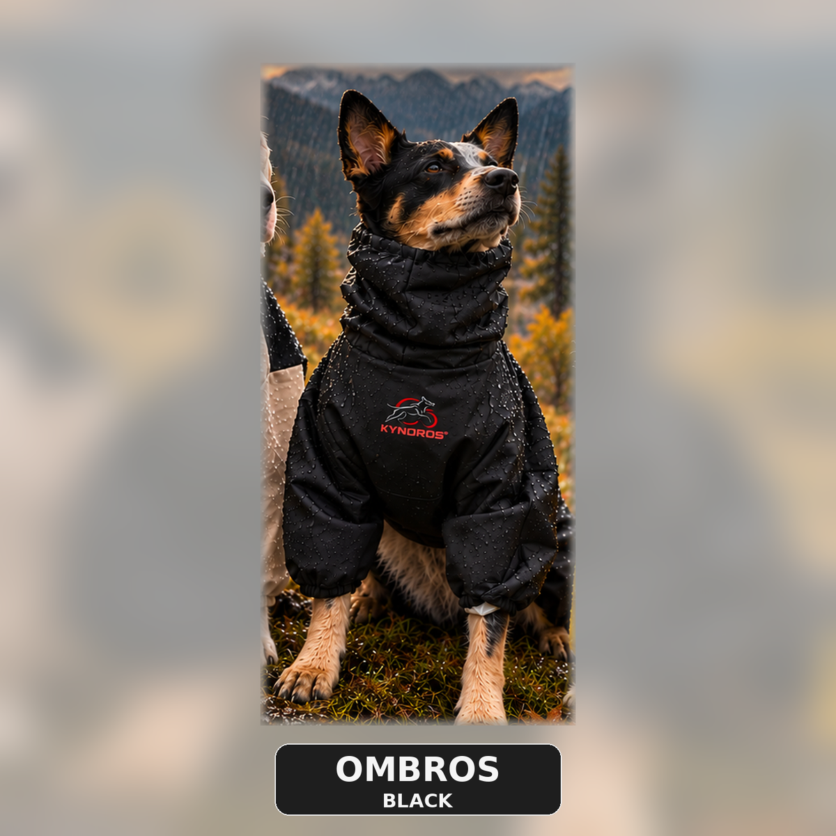 KYRONOS Ombros All-Weather Rain Gear