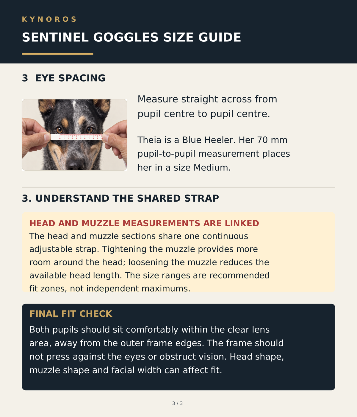 KYNOROS Sentinel Goggles